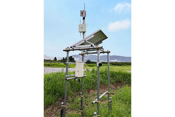 エンタープライズ無線メッシュのPicoCELA、ローカル５Gを元回線として広域なブドウ畑全域のIoT情報基盤を構築