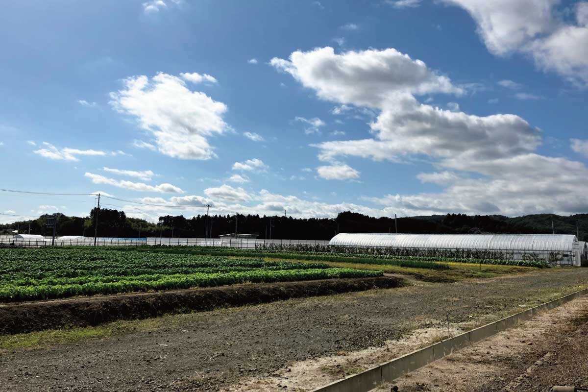 導入前の課題：通信の「届かない」が教育活動の足かせに