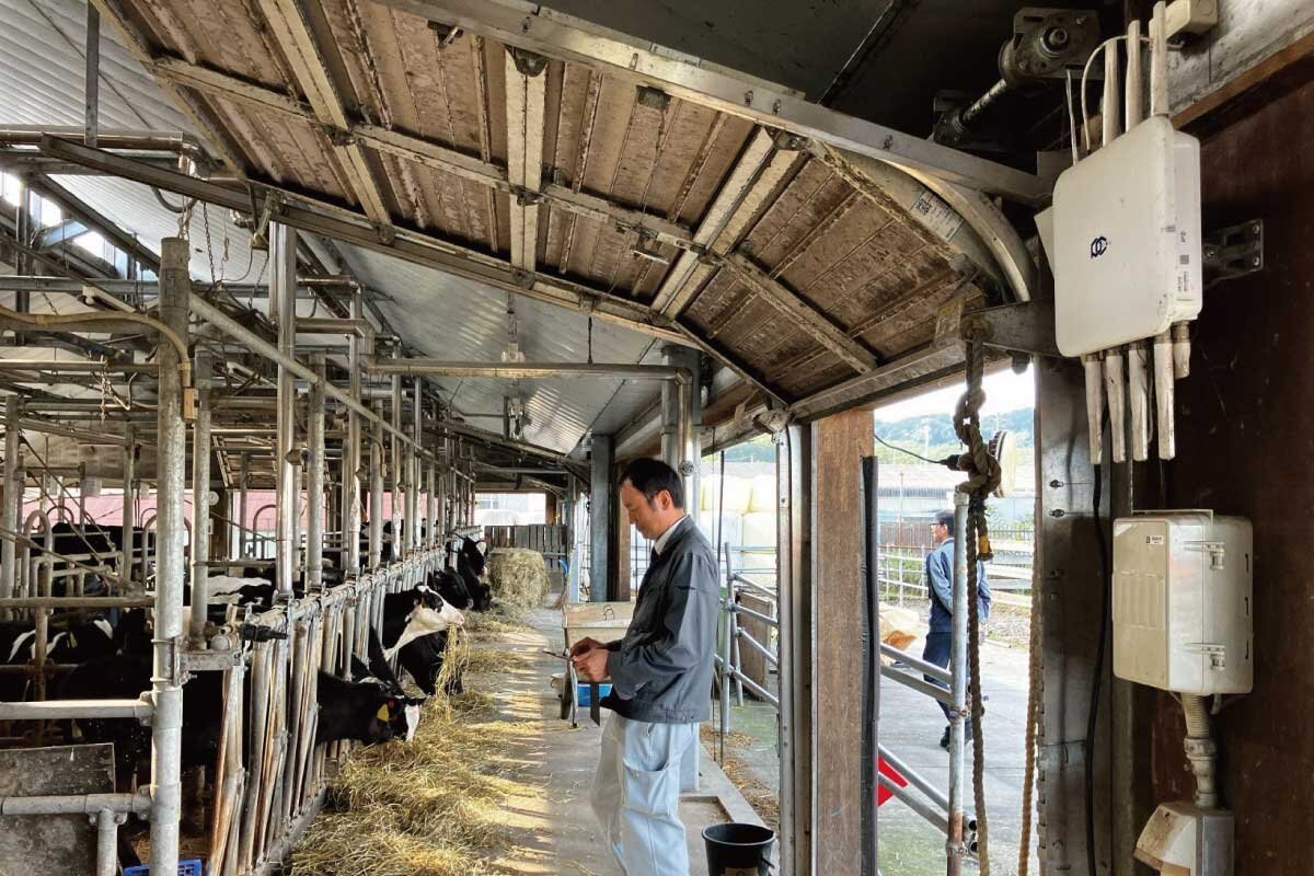 PicoCELA選定の決め手：コスト効率、広域カバー、容易な拡張性