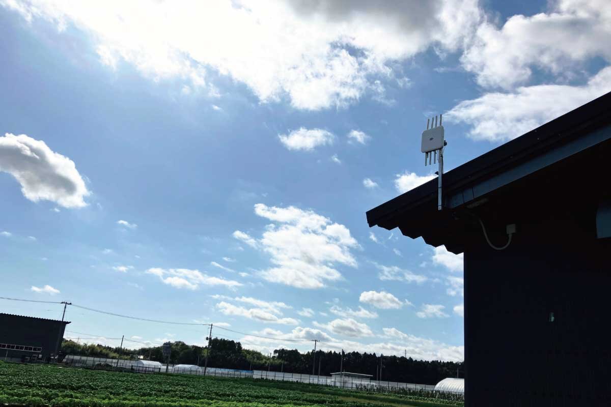 導入後の活用と効果：グループ学習の深化とデータ駆動型教育への第一歩