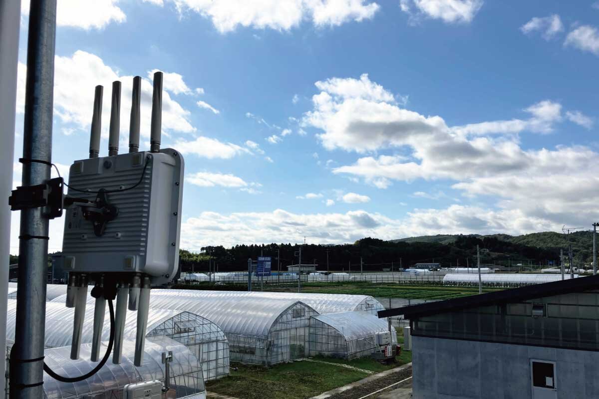 導入後の活用と効果：グループ学習の深化とデータ駆動型教育への第一歩